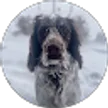 Bethanne Slaughter, verified Google reviewer