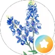 Ca Poy, verified Google reviewer