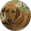 Emilee Edwards, verified Google reviewer