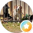 larry hunter, verified Google reviewer