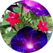 Maggie Meek, verified Google reviewer