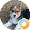 Zoe Elise Furr, verified Google reviewer